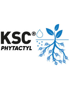 KSC logo