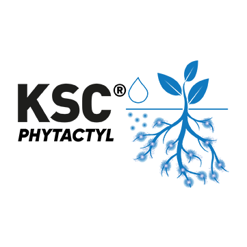 KSC logo