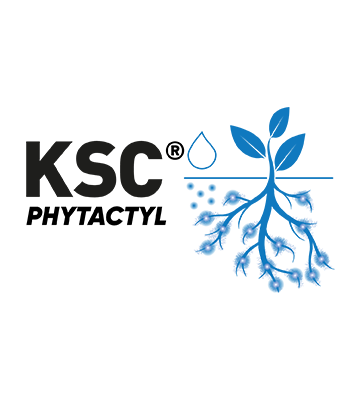 KSC logo