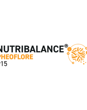 NutriBalance P15 logo