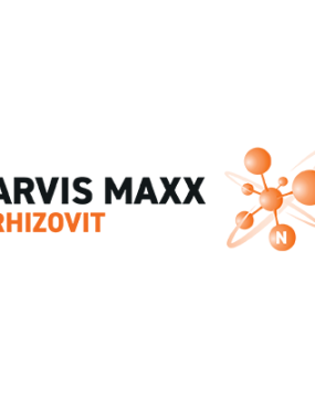 ARVIS MAXX logo